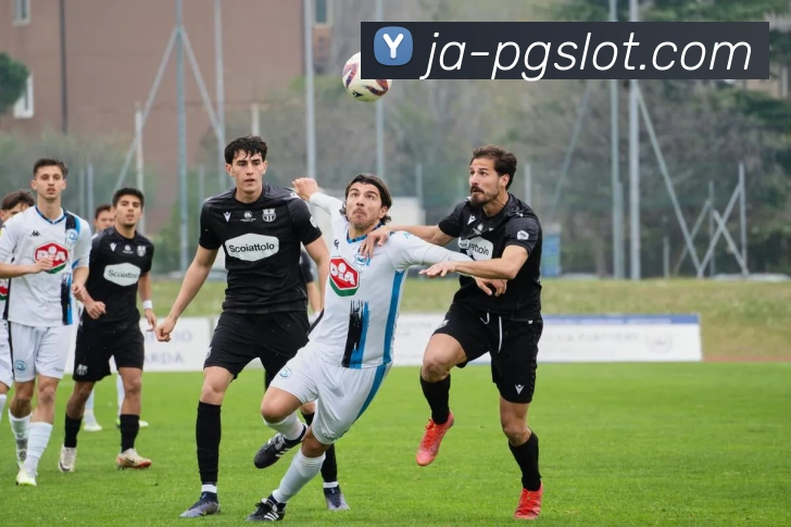 赏金女王PG电子官网平台生态图